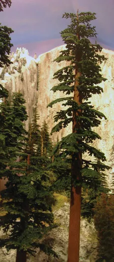295-T42 Grand Central Gems 6"-" Small Redwoods (3)