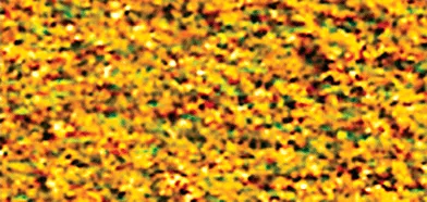 95054 JTT Scenery Blended Turf-Early Fall (Medium)