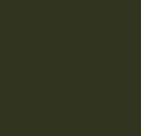 AK Interactive 11355 AFV Series: IDF Green 3G Acrylic Paint 17ml Bottle