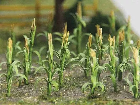Bachmann 32501 HO Scale Corn Stalks — 1″2.5cm Tall pkg(30)