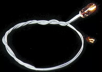 Cir-Kit Concepts Inc 10101 Grain-Of-Wheat Bulb — 12-Volt with 1/8″ Black Wires