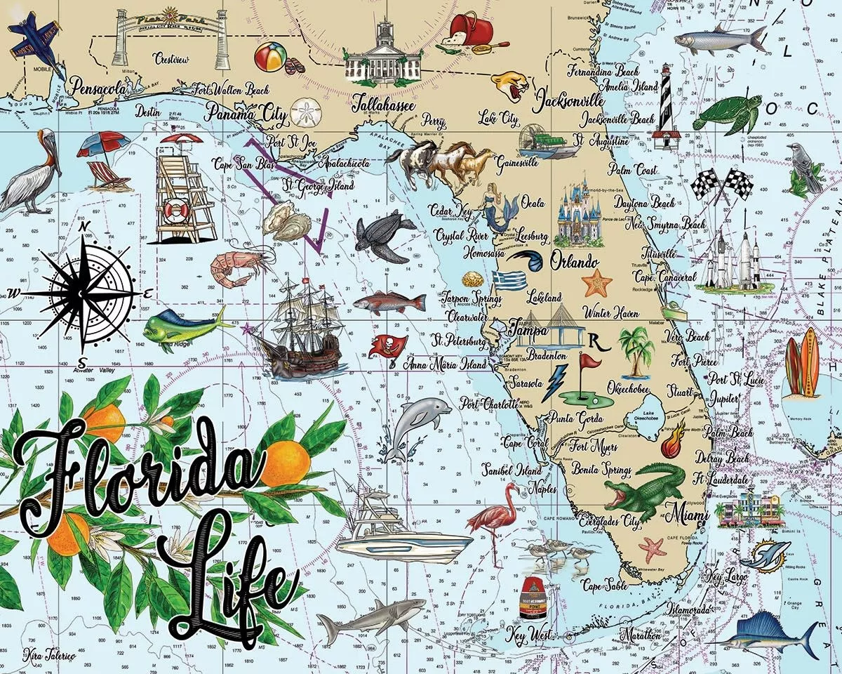 Heritage Puzzle 30612 Florida Life 1000 Piece Puzzle