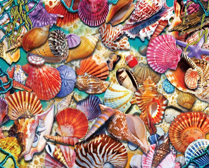 Heritage Puzzle 30703 Coastal Shells 1000pc Puzzle
