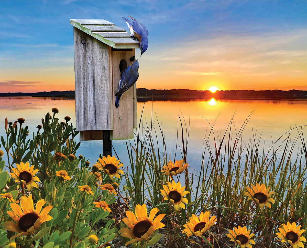 Heritage Puzzle 40803 Bluebird Sunrise 1000pc Puzzle