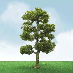 JTT Scenery Products O 92406 Downy Birch Trees Pro Elite 6"