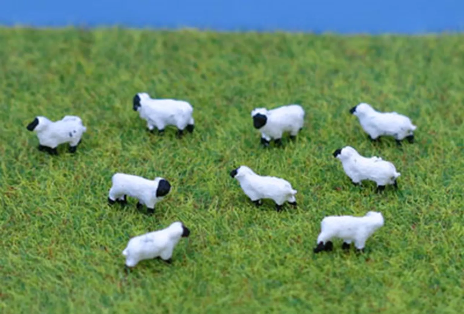PDC56 N Gauge Sheep – UNPAINTED
