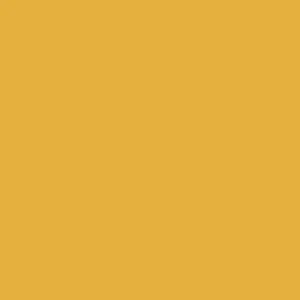Scalecoat II 20431 (plastic) Solvent Based Enamel Model Paint