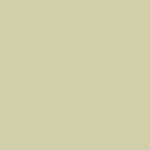 Scalecoat II 21241 (plastic) Solvent Based Enamel Model Paint