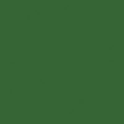 Tru-Color 519 High Gloss Sassy Grass Green