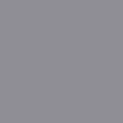 Tru-Color 533 High Gloss Bright Silver