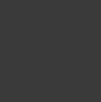 Tru-Color 804 Brushable Flat Grimy Black