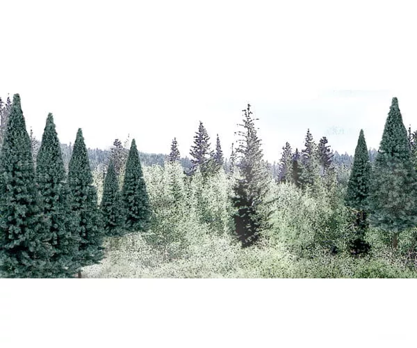 Woodland Scenics 1587 Blue Spruce Tree Value Pack - Ready Made Trees(TM) -- 2 - 4" 5.1 - 10.2cm pkg(18)