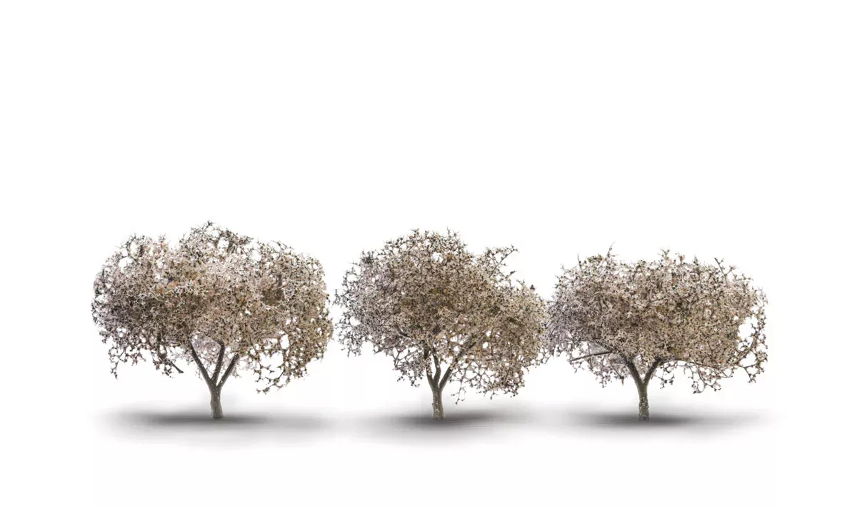 Woodland Scenics WDS TR3594 WDS3594 Cherry Blossom TreesNEW